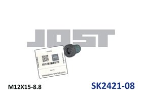 SK2421-08 Болт крепления подковы СУ 3,5"