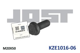 KZE1016-06 Болт шкворня М20*50